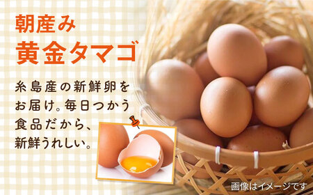 【全3回定期便】糸島の朝産み黄金タマゴ10個 朝どれ新鮮野菜5品 セット【福岡県糸島産】 糸島市 / オーガニックナガミツファーム 玉子 やさい 	[AGE047]