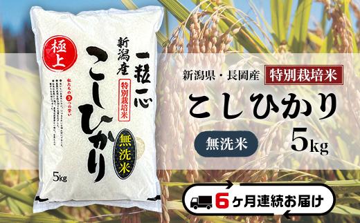 
                  48-8M056【6ヶ月連続お届け】【無洗米】新潟県長岡産特別栽培米コシヒカリ5kg
                
