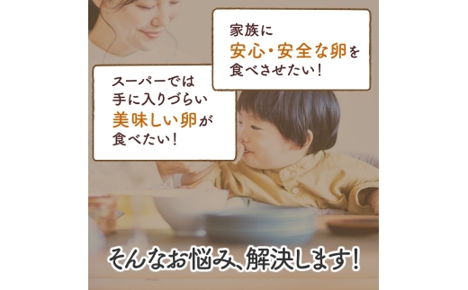 [特別定期便全12回] たまご 2回目以降はお好きなタイミングでお届け！ 坂本養鶏 大山の麓で育ったさかもとのたまご 合計360個 (30個×12回)｜伊勢原市 赤玉卵 玉子 鶏卵 生卵 国産 TKG