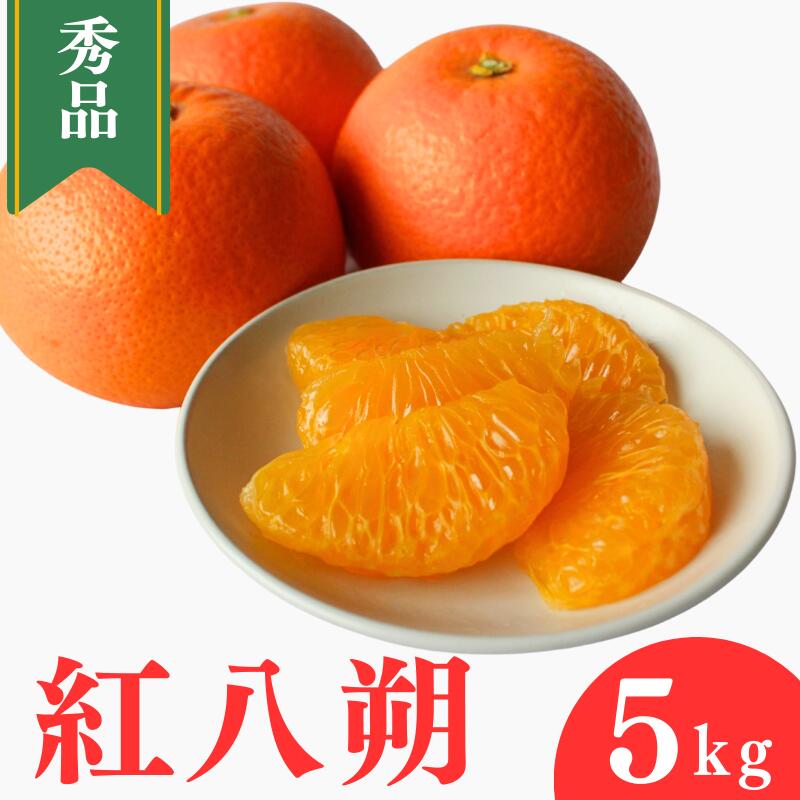 【ふるさと納税】 ＜先行予約＞紅八朔【秀品】5kg ※2027年2月中旬～3月中旬頃に順次発送予定【期間限定・数量限定】 / はっさく ハッサク 柑橘 季節限定 お取り寄せ 産地直送 贈答品 ギフト 果物 フルーツ 田辺市 和歌山県