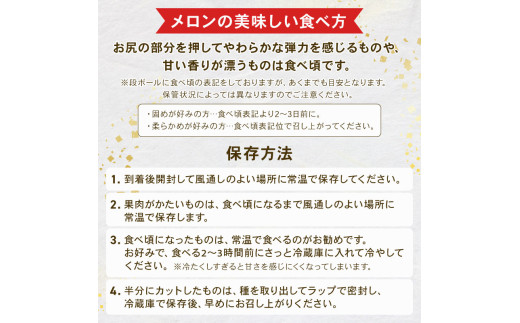 ＜2026年 先行予約 ＞ 【 贈答用 】 タカミメロン 青肉 & 赤肉 セット 5L × 各1玉（計2玉セット） 日時指定可 選べる日時 6月 7月 発送 産地直送 メロン 食べ比べ 高級 ブランド 糖度  貴味 タカミ タカミレッド 飯岡メロン ブランドメロン 贈り物 贈答 ギフト プレゼント ギフトボックス 果物 フルーツ おすすめ 人気 デザート 千葉県 旭市 飯岡 石毛農園 igf009