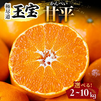 【ふるさと納税】「玉宝ブランド」【甘平】2kg/3kg/5kg/10kg【G1511245】_ みかん 甘平 かんぺい カンペイ 玉宝 愛媛のみかん 柑橘 果物 くだもの フルーツ 美味しい 甘い シャキシャキ プチプチ 愛媛 ご当地 愛媛県 八幡浜市 人気 送料無料 【G1511245】