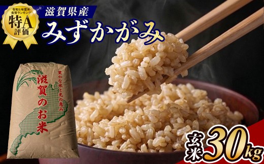 【令和7年産】近江米みずかがみ玄米30kg