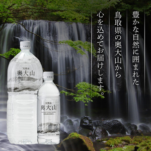 ＜定期便3回＞天然水奥大山(500ml×24本入り×3か月・計72本)国産 鳥取県 鳥取県産 大山 奥大山 天然水 水 軟水 ミネラルウォーター ミネラルバランス 山地 ペットボトル 贈り物 ギフト 