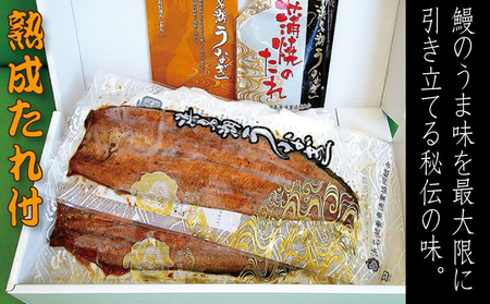 うなぎ 長蒲焼 2枚入 鰻 ウナギ たれ おすすめ うなぎ