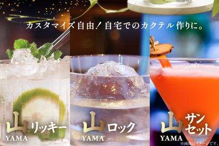 ジン 700ml×12本 1箱｜スピリッツ JIN ソーダ割り GIN