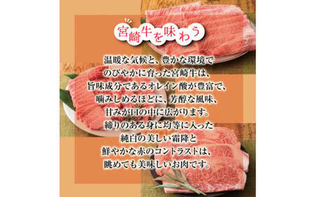 宮崎牛すき焼きしゃぶしゃぶ用赤身肉＆霜降りスライス肉(700g) 黒毛和牛2種詰め合わせセット 内閣総理大臣賞4連続受賞の黒毛和牛 [ブランド牛 お肉 牛肉 国産牛 宮崎県 高原町 15000円 1万