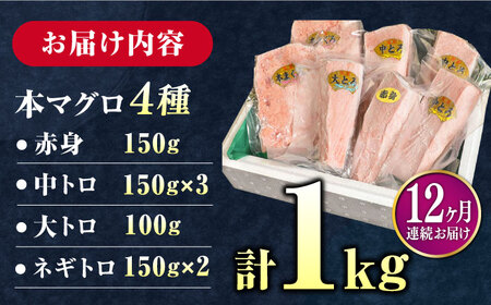 【全12回定期便】対馬産 養殖 本マグロ 4種 （赤身×2/中トロ×2/ネギトロ×2/大トロ×1）《対馬市》【対海】 新鮮 マグロ 鮪 本鮪 赤身 中トロ 大トロ ネギトロ 海鮮 冷凍[WAH008]