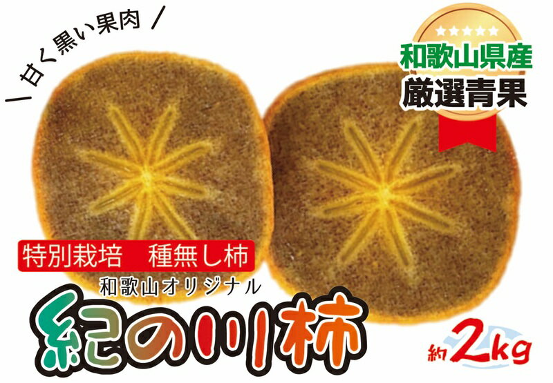 【ふるさと納税】特別栽培 紀の川柿 約2kg 【2025年10月中旬より順次発送】