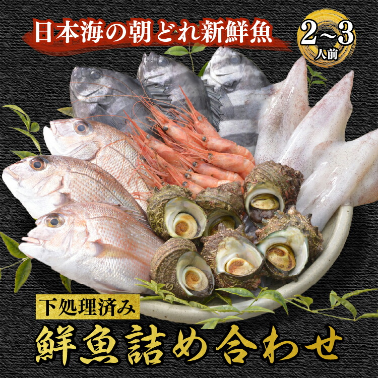 海鮮鮮魚詰め合わせセット 能登の朝どれ「いきいき七尾魚」（2～3人前）｜海鮮 魚貝類 魚介類 魚 鮮魚 詰め合わせ セット下処理済み 鯛 鰤 ブリ　鯖 サバ 鯵 アジ 海老 エビ 旬 能登 七尾市 石川県 ※2025年9月中旬以降順次発送予定