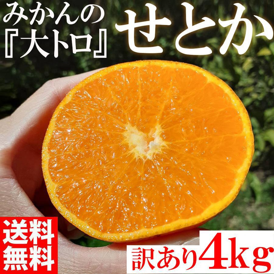 
せとか みかんの大トロ 4kg 訳あり ブランド 和歌山 有田みかん 農家直送 オレンジ フルーツ 果物
