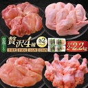 【ふるさと納税】【冷凍】 恵那どり 贅沢4種 詰め合わせ (もも肉2枚 むね肉2枚 手羽先10本 手羽元10本) 小分け セット　(約2~2.2kg) 鳥肉 鶏肉 とりにく 冷凍 手羽 多治見市/トーノーデリカ [TEZ013]