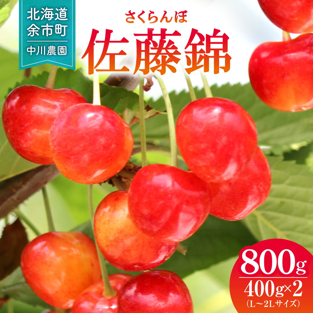 【ふるさと納税】2027年発送【先行予約】令和9年産 さくらんぼ 佐藤錦【L～2Lサイズ】400g×2 【合同会社中川農園】スイーツ サクランボ ゼリー ジュース コンポート シャーベット ロールケーキ パウンドケーキ タルト フルーツ さくらんぼ餅 送料無料 北海道 余市町