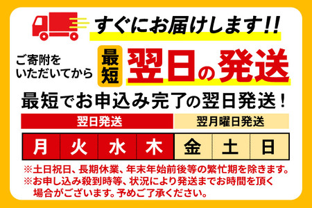 《定期便7ヶ月》サントリー 金麦ザ・ラガー ＜350ml×24缶＞