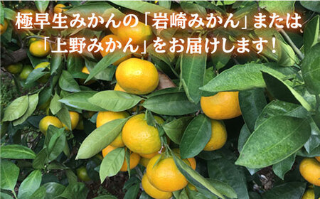  極早生みかん 約5kg  ＜Da・IWASAKI FARM＞ [CCZ001] みかん ミカン みかん みかん ミカン みかん