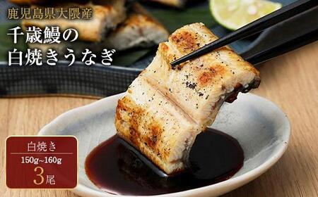 鹿児島県大隅産 千歳鰻の 白焼鰻　3尾｜うなぎ うなぎ