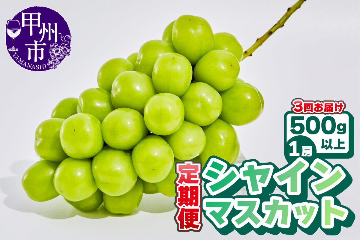 
            【定期便】【農林水産大臣賞受賞!!】山梨のシャインマスカット 1房500g以上 全3回定期便【2025年発送】（AGB）B19-875 【シャインマスカット 葡萄 ぶどう ブドウ 令和7年発送 期間限定 山梨県産 甲州市 フルーツ 果物】
          