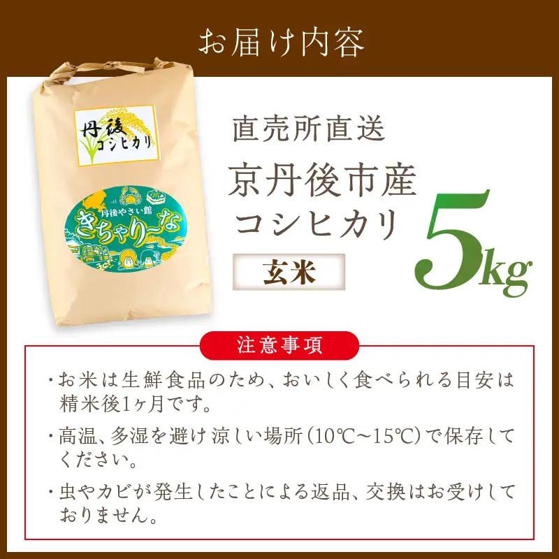 新米 令和7年産／京丹後市産 コシヒカリ 玄米5kg ふるさと納税 米 玄米 特A 検査1等米 国産 こめ ごはん 京都産 コシヒカリ 農家応援 生産者応援 送料無料