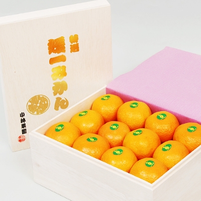 
            桐箱入り・媛一みかん(2.5kg)＜D24-4＞_ みかん ミカン 柑橘 フルーツ くだもの 果物 ふるーつ 青果 果実 甘い ジューシー 産直 産地直送 旬 柑橘類 人気 温州 桐箱 ブランド 愛媛 果汁 八幡浜市 【1045056】
          