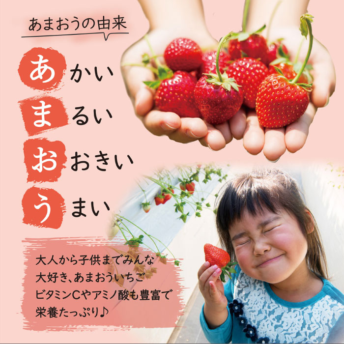 【全2回定期便】【先行予約・2024年3月初旬より順次発送】【 数量限定 】 あまおう いちご 1,620g ( 約 270g × 6パック ) 糸島市 / 株式会社HSP-テクノ [AZL006]
