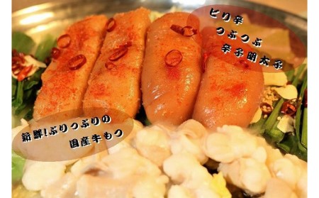 【六蔵】博多明太もつ鍋セット(2-3人前)[C4361a]