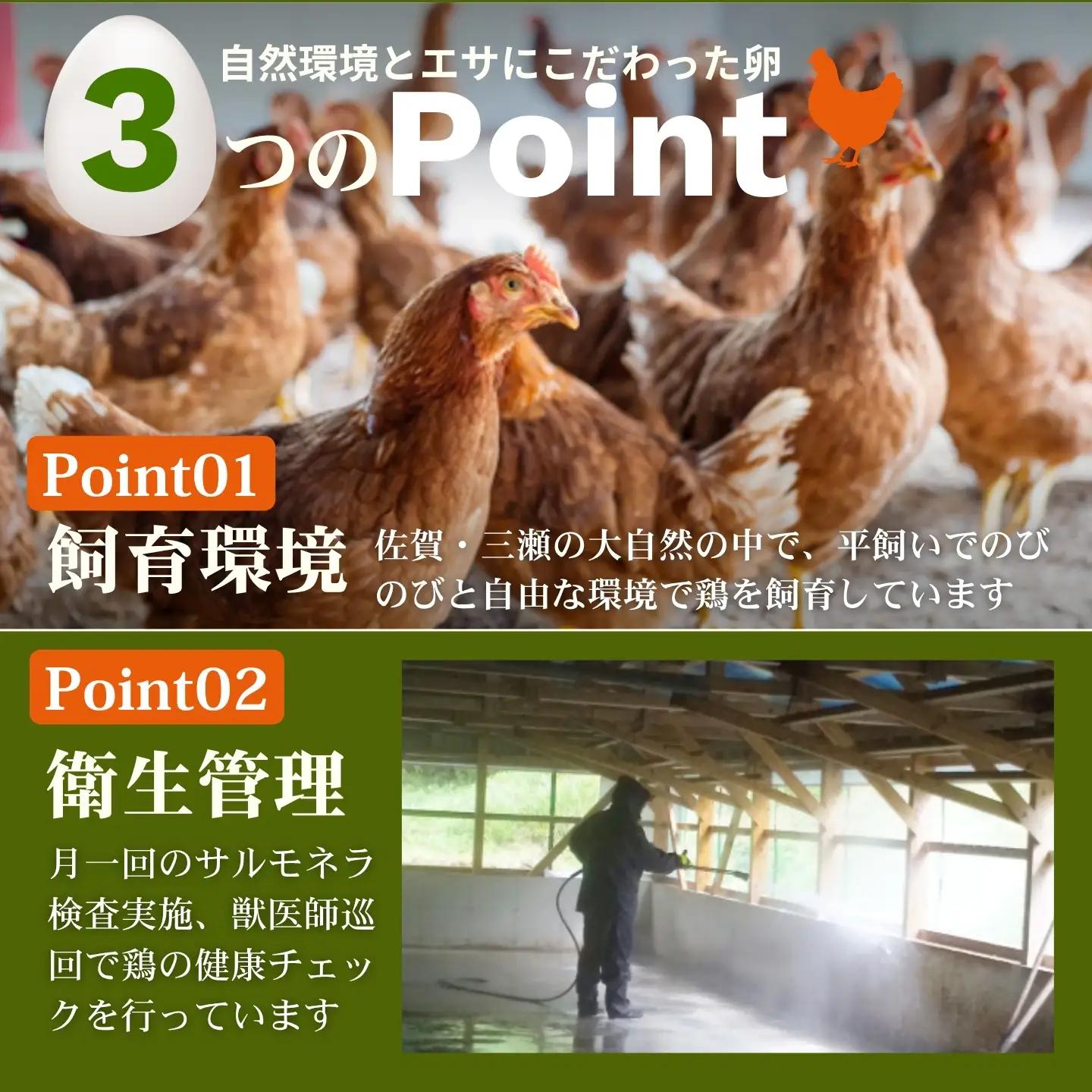 【定期便12回】平飼いたまご 三瀬ひなた鶏舎 「壮健美卵」35個＋割れ保証5個（計40個）：C150-052