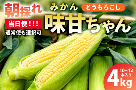 【当日便】【先行受付 2026年6月20日頃～8月上旬発送予定】早朝収穫！とうもろこし10～12本（味甘ちゃん・みかんちゃん）【関東+山梨へのお届け】 mi0046-0005