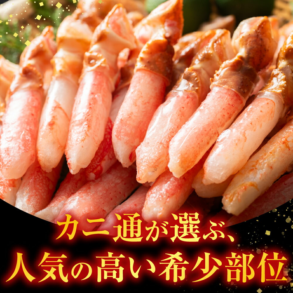 【ふるさと納税】 生食用本ズワイガニ爪下棒肉ポーション 選べる 600g 1.2kg ずわいがに ズワイ ずわい ズワイ蟹 ずわい蟹 かに カニ 蟹 お取り寄せ グルメ 海鮮 刺身 かにしゃぶ ステーキ 北海道 根室市 ふるさと納税