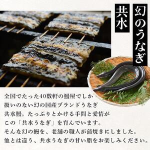 幻の国産ブランド鰻　共水うなぎのかば焼き　3串（約115g×3）タレ・山椒付き　極上の甘みとうまみ、ふっくらとした食感【鰻 魚介類 水産 食品 人気 おすすめ 】