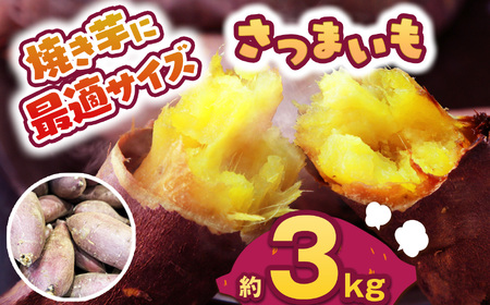 【先行予約】食べやすい焼き芋サイズ 3kg  | 栃木県 下野市