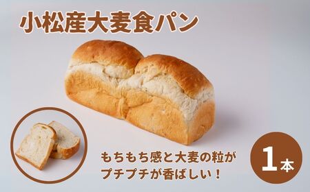 小松産大麦食パンとあづま屋高級食パン「キング食パン」 bl005n00