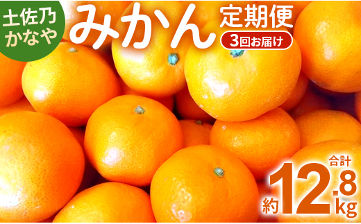 
            土佐乃かなや 数量限定3回定期便 - ミカン 柑橘 果物 フルーツ 倭香 山北みかん Wbe-0020
          