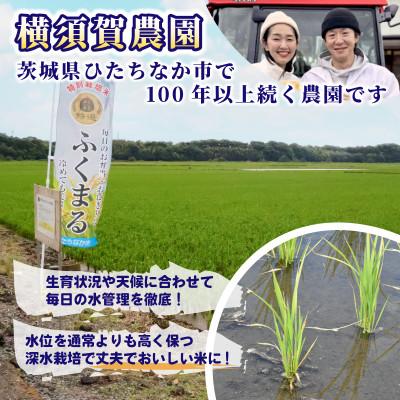 ふるさと納税 ひたちなか市 【先行予約・9月以降順次発送】令和7年　ひたちなか市産　特栽・特選ふくまる(玄米)10kg×1袋 |  | 03