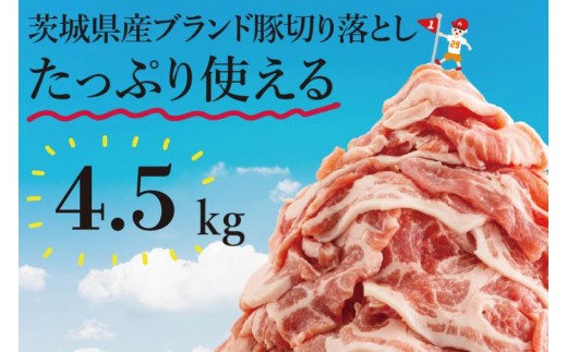 
                  【数量限定】リピーター続出！茨城県ブランド豚切り落とし4.5kg (300g×15p)肉 豚肉 切り落とし こま切れ 小分け 訳あり 真空 真空パック 冷凍 国産 茨城県産 産地直送 肩ロース ウデ モモ バラ 高評価 人気 内田本店 茨城県 水戸市（EC-104）
                