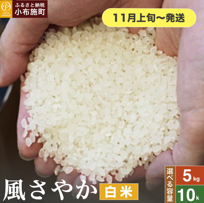 【ふるさと納税】 風さやか 白米 約5kg 約10kg 選べる容量［おぶせファーマーズ］ お米 米 おこめ こしひかり 長野県産【2025年11月上旬～発送】