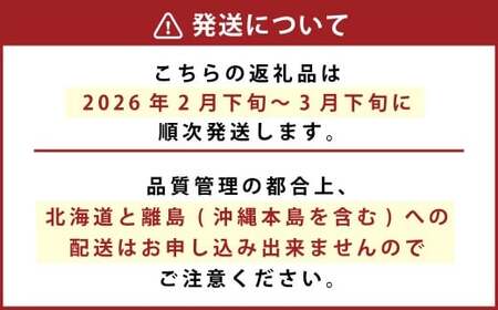 化粧箱入り ベリーツ 約540g 【2026年2月下旬-3月下旬発送】