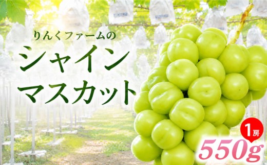 シャインマスカット 種なし 1房 約550g ぶどう 葡萄 フルーツ 果実 旬 産地直送 ギフト 贈答 プレゼント 贈り物 果物 くだもの しゃいんますかっと 国産 お取り寄せ ふるさと納税 茨城県 鹿嶋市 【2026年8月下旬より順次発送】
