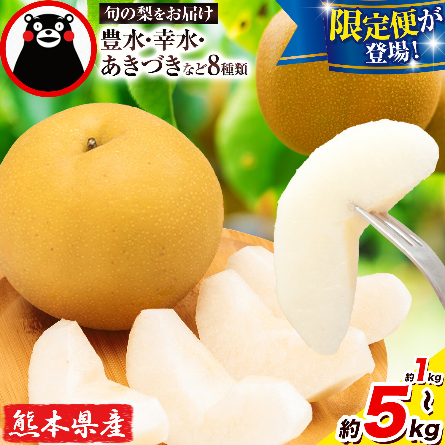 【ふるさと納税】梨 くまもと梨 秋 旬 なし 幸水 豊水 果物 くだもの フルーツ 送料無料 あきづき 甘太 新高 新興 約1kg 約3.5kg 約5kg 定期便 品種 熊本県産【着日指定不可】《8月下旬-11月中旬頃出荷》旬 果物 お取り寄せ ナシ