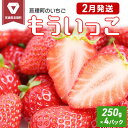 【ふるさと納税】いちご 亘理町のいちご もういっこ 250g × 4パック オンライン決済限定 先行受付中 苺　 果物 フルーツ イチゴ セット 　お届け：2025年2月1日から2月28日まで