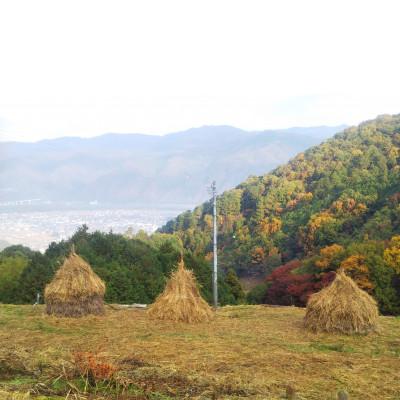 ふるさと納税 東みよし町 田口農園徳島の世界農業遺産ブランド野菜　 農家人が選ぶ旬野菜のおまかせセット |  | 03