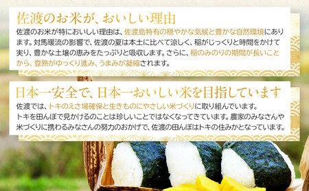 【6ヶ月連続お届け】新潟米物語佐渡産コシヒカリ（10kg（5kg×2））