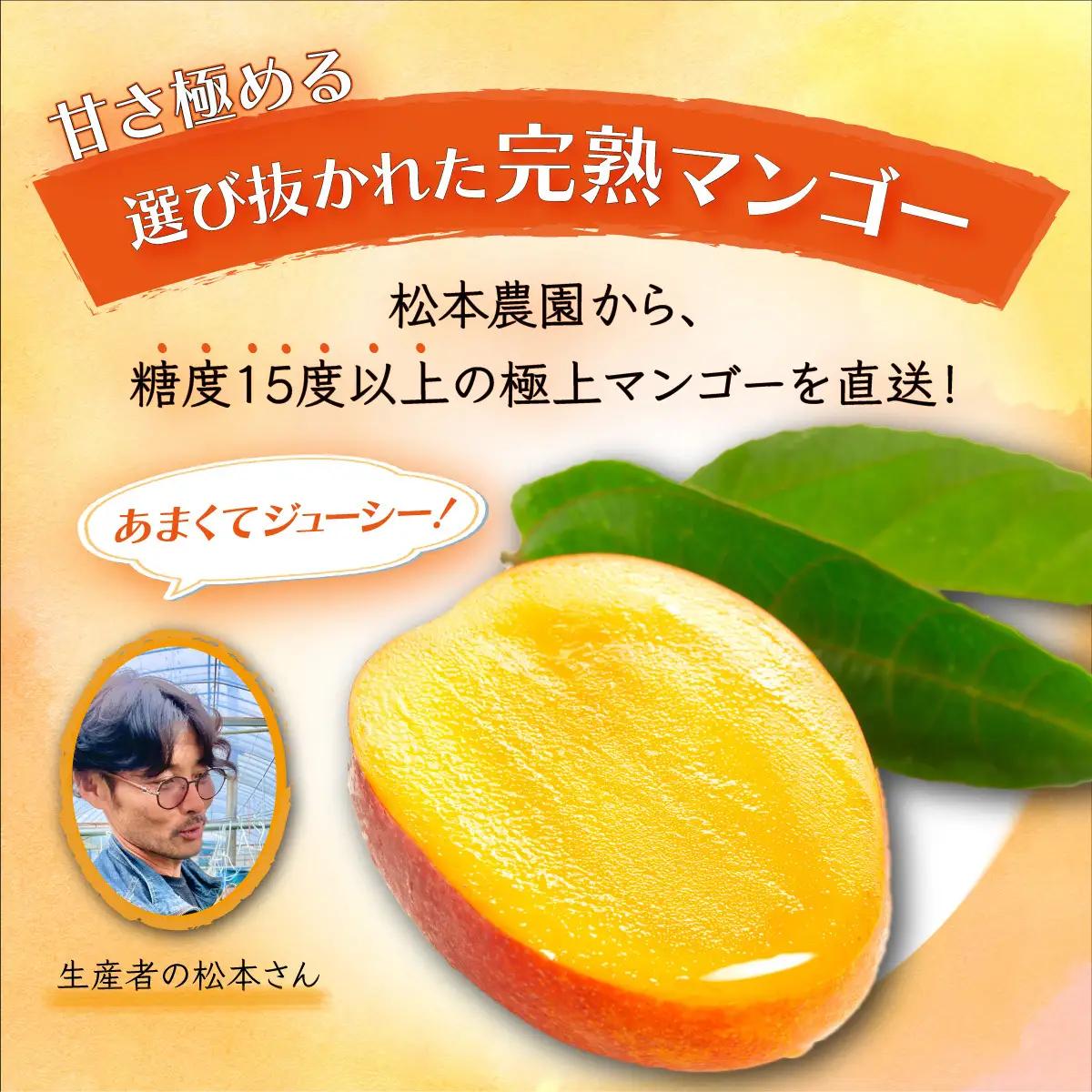  厳選！濃厚完熟マンゴー 4Lサイズ（糖度15度以上）【2026年5月中旬頃から6月初旬発送】 D-125