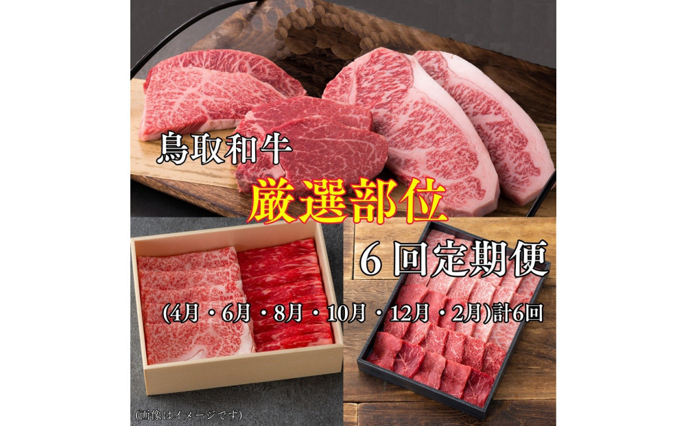 【6回定期便】鳥取和牛厳選部位　 313726_DC022
