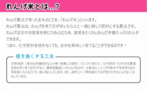 【定期便】《精米》化学肥料などは一切不使用！こだわり農法 佐々木さんの「れんげ米」（5kg）×12回