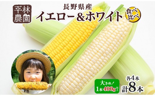 とうもろこし イエロー ＆ ホワイト 食べ比べ 400g以上 各4本 計8本 ゴールドラッシュ ピュアホワイト コーン 玉蜀黍 農家直送 産直 信州 人気 お取り寄せ 平林農園 送料無料 長野県 大町市