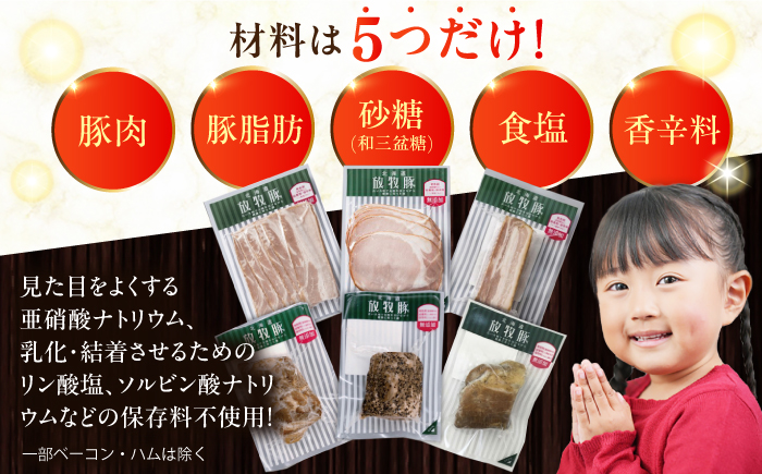 【全3回定期便】【結着剤・発色剤・保存料不使用】 放牧豚 ハム・ベーコン贅沢6種セット 《厚真町》【ファーマーズファクトリー株式会社】 ハム ベーコン モモ 豚肉 ブロック 冷凍配送 セット 詰め合わ