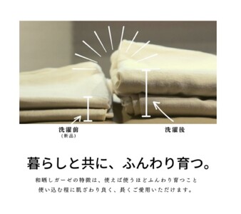 三河産　綿100％　120本ガーゼ毛布カバー_コスモピンク【G0578】