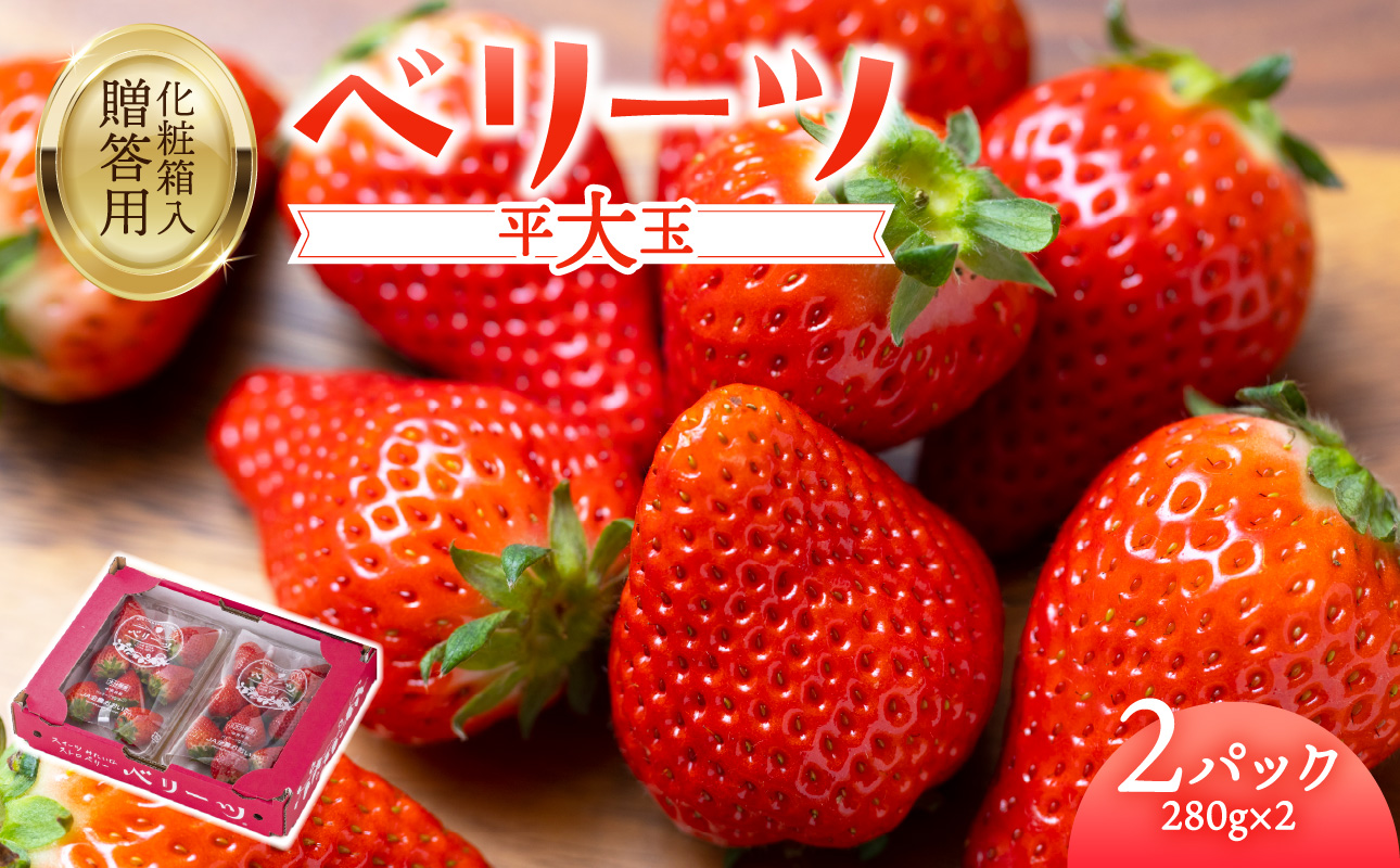 【C07007】【先行予約※2026年2月下旬より発送開始】大分県ブランドいちご「ベリーツ」平大玉 約280g×2パック