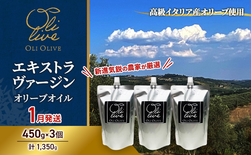 
            【受賞農家が選出】 高級イタリア産 エキストラ・ヴァージン・オリーブオイル 450g×3個【2025年1月より順次発送】
          