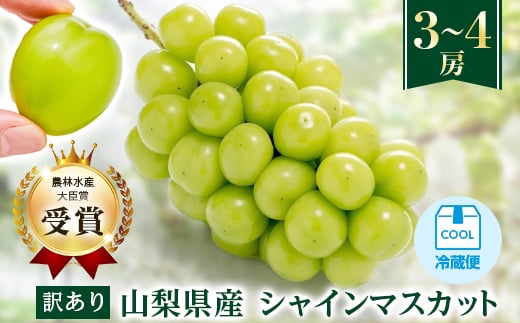 ＜先行受付 2026年発送＞＜訳あり＞シャインマスカット 3～4房 1.5kg以上【1391174】